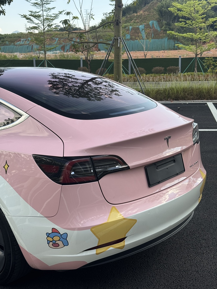 Tesla Model 3 (Imported) 2019 #4 Tesla Model 3 (Imported) 2019 car image #4