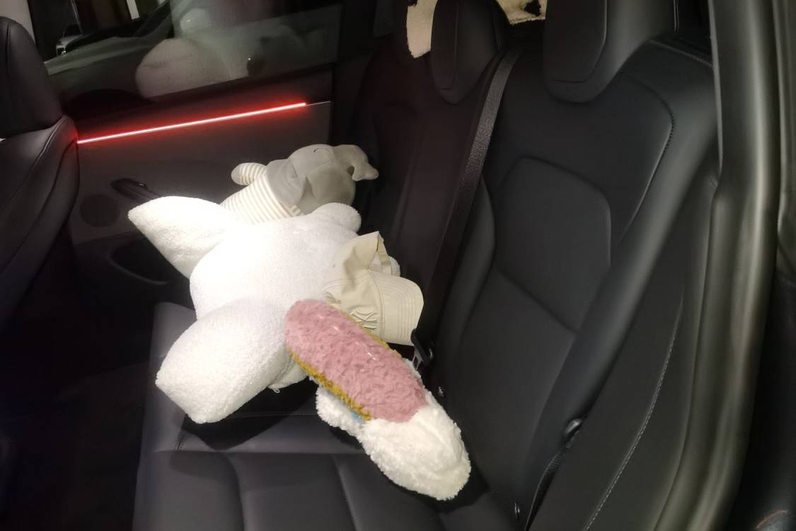 Tesla Model 3 2025 car image #19