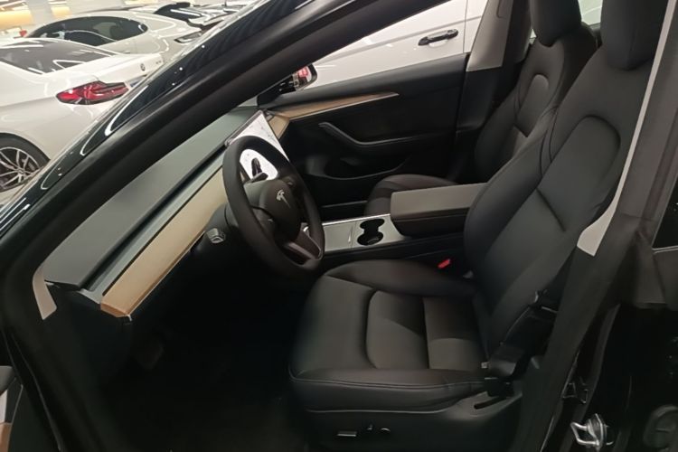 Tesla Model 3 2021 #15 Tesla Model 3 2021 car image #15