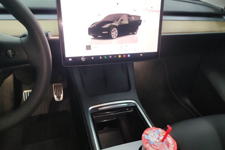 Tesla Model Y 2022 car image #13