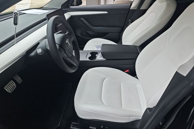 Tesla Model 3 2021 car image #15