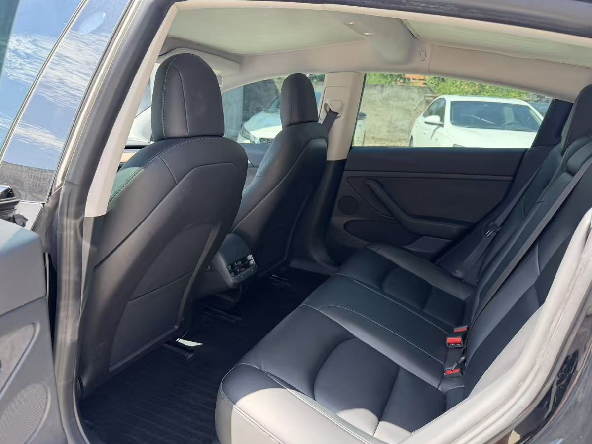 Tesla Model 3 2023 car image #8