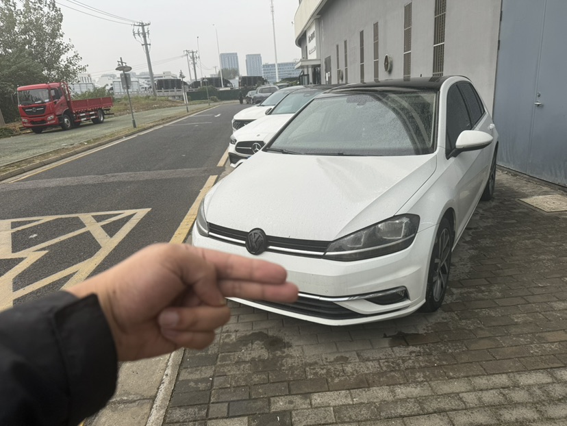 Volkswagen Golf 2019 Volkswagen Golf 2019 immagine di auto