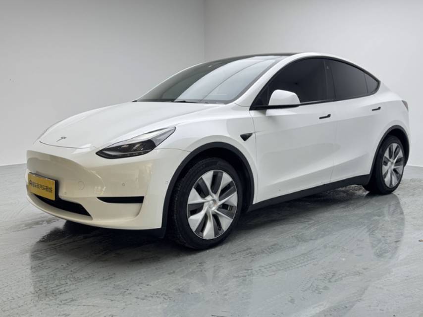 Tesla Model Y 2022 car image 