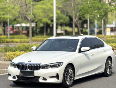 BMW 3 Series 2019 BMW 3 Series 2019 car image