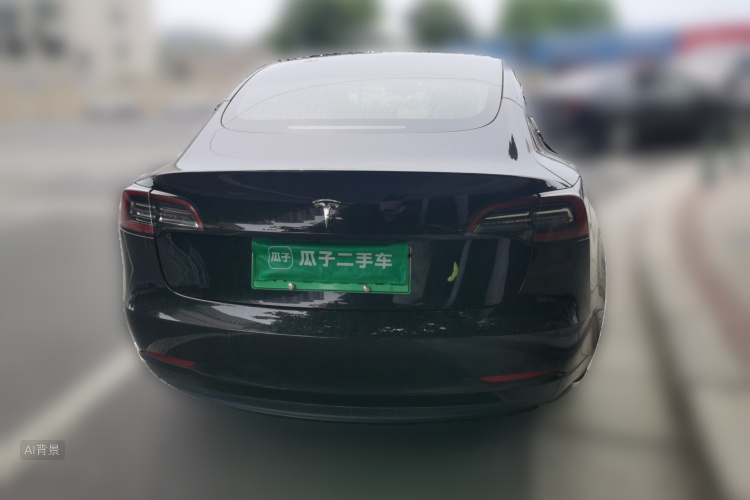 Tesla Model 3 2020 car image #6