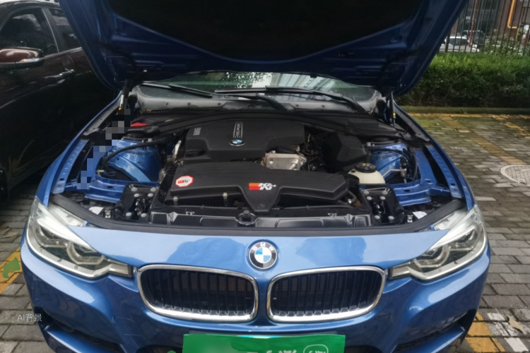 BMW 3 Series 2016 car image #22