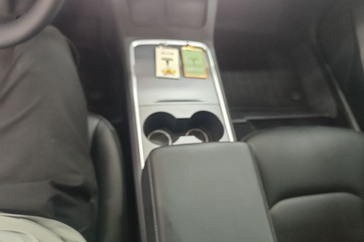 Tesla Model 3 2023 car image #18