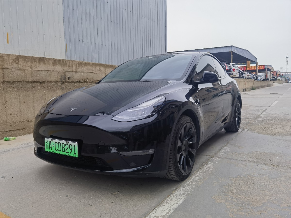 Tesla Model Y 2021 car image 