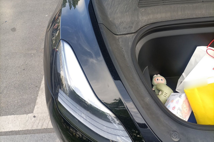 Tesla Model Y 2023 #28 Tesla Model Y 2023 car image #28