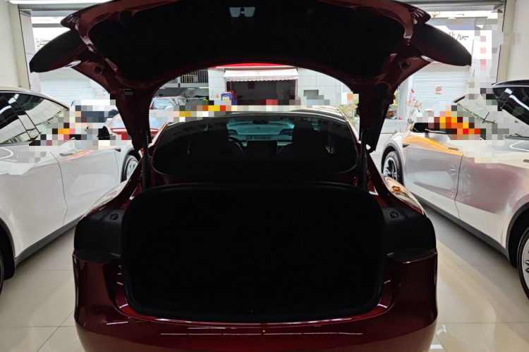 Tesla Model 3 2024 #19 Tesla Model 3 2024 car image #19