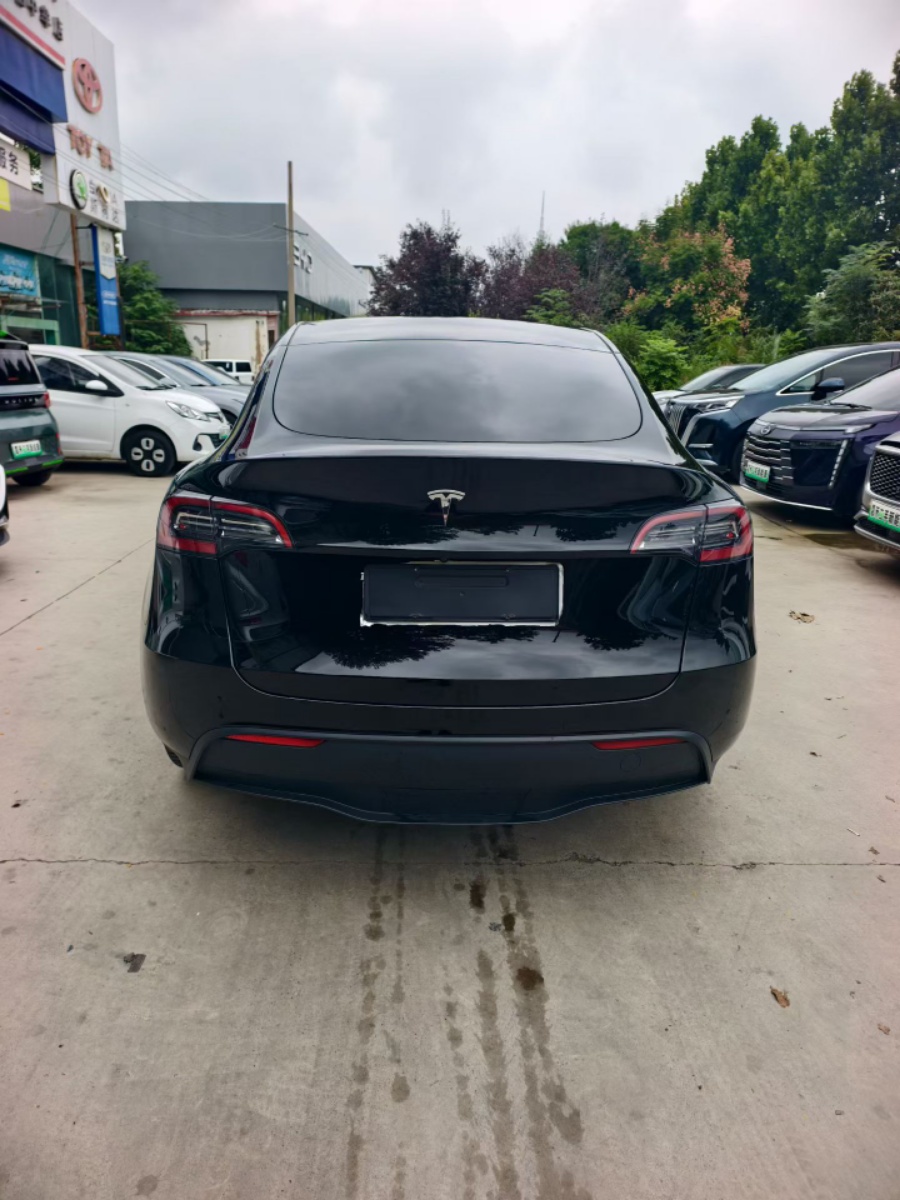 Tesla Model Y 2021 #5 Tesla Model Y 2021 car image #5