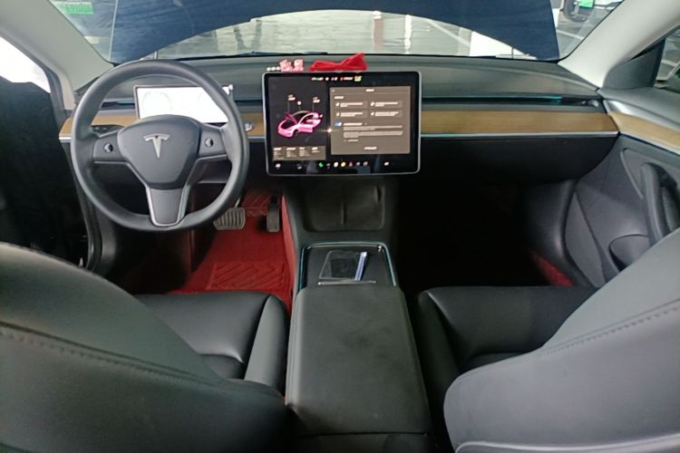 Tesla Model 3 2021 car image #10
