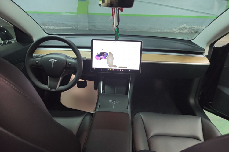 Tesla Model 3 2020 car image #10