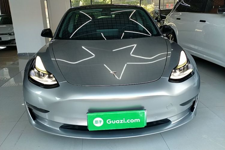 Tesla Model 3 2021 #3 Tesla Model 3 2021 car image #3