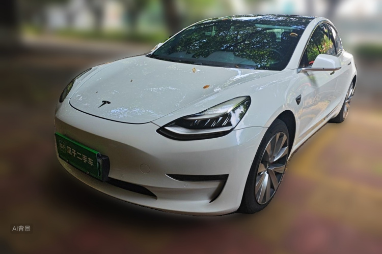 Tesla Model 3 2020 immagine di auto #2
