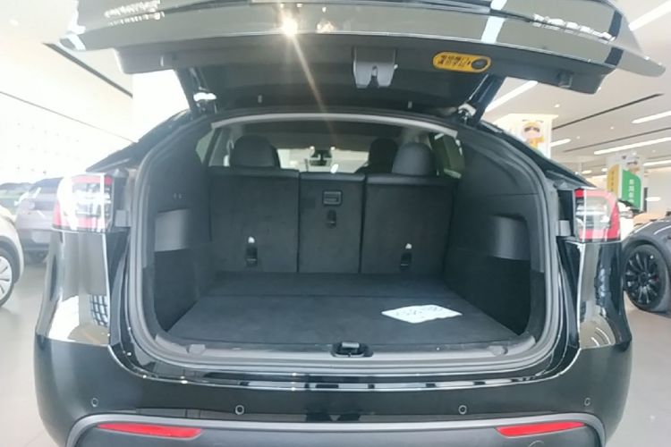 Tesla Model Y 2021 car image #19
