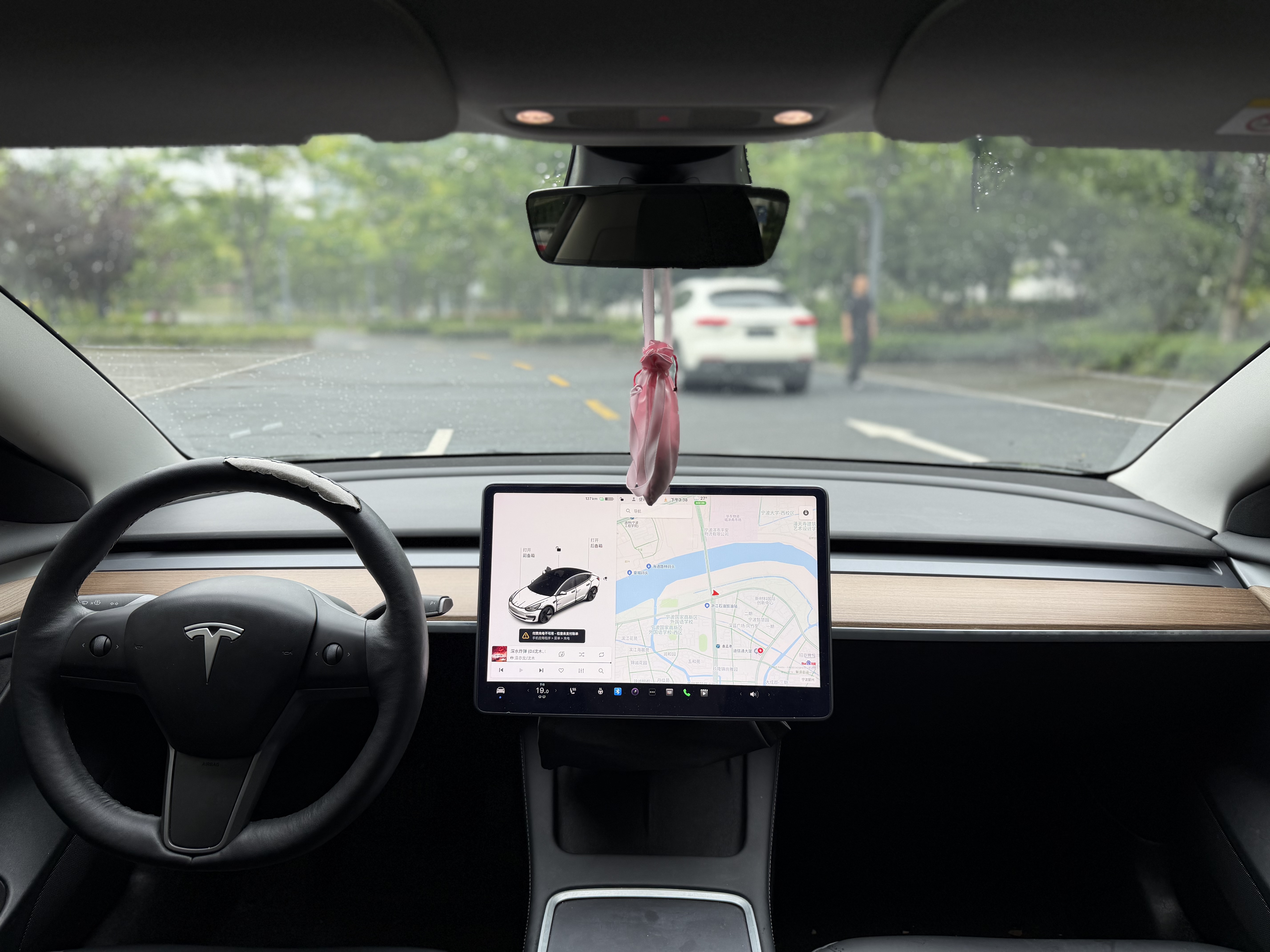 Tesla Model 3 2021 immagine di auto #5