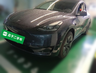 Tesla Model Y 2024 car image 
