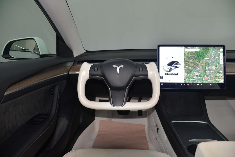 Tesla Model 3 2021 imagem de carro #16