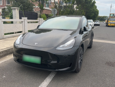 Tesla Model Y 2023 Tesla Model Y 2023 car image
