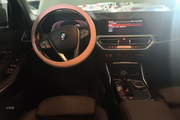 BMW 3 Series 2020 car image #12