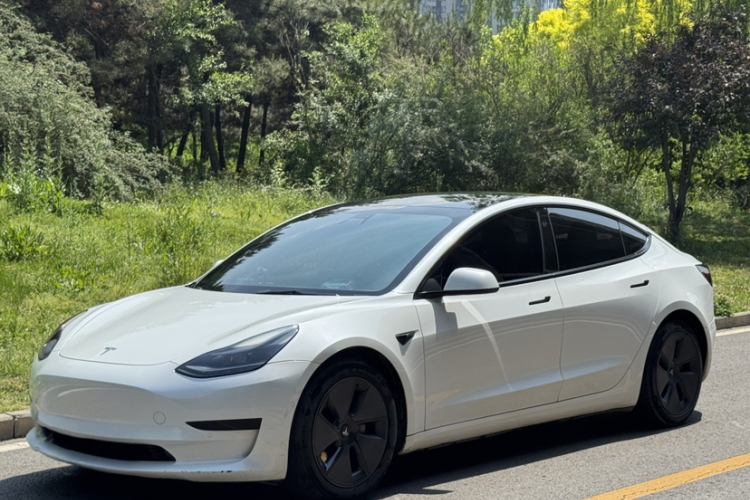 Tesla Model 3 2021 #3 Tesla Model 3 2021 car image #3