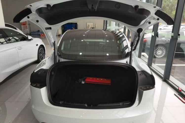 Tesla Model 3 2026 car image #19
