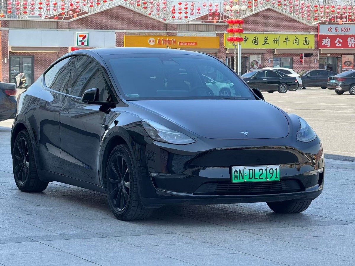 Tesla Model Y 2021 #3 Tesla Model Y 2021 car image #3