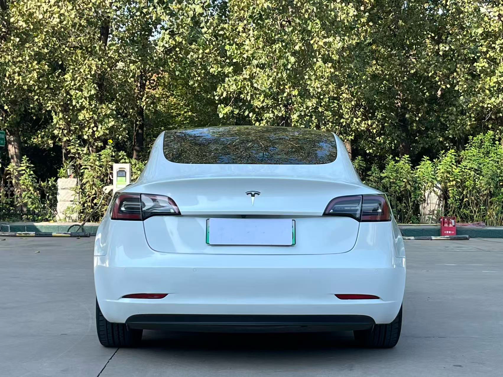 Tesla Model 3 2020 #8 Tesla Model 3 2020 car image #8