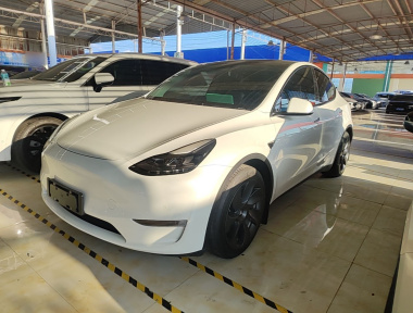 Tesla Model Y 2021 car image 
