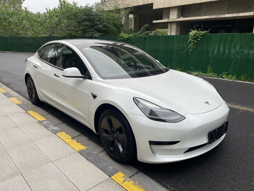 Tesla Model 3 2021 #3 Tesla Model 3 2021 car image #3
