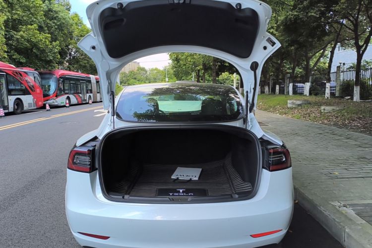 Tesla Model 3 2020 #19 Tesla Model 3 2020 car image #19