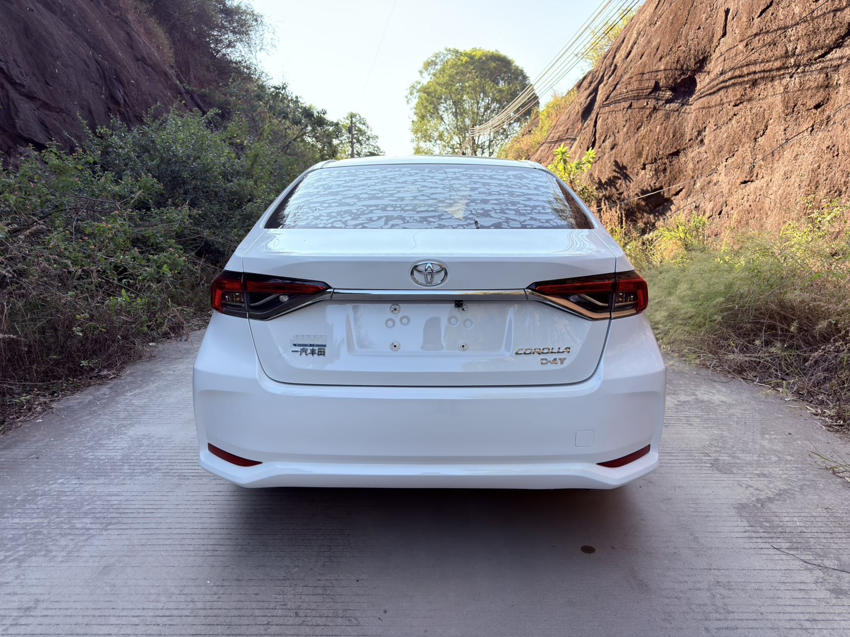Toyota Corolla 2020 #8 Toyota Corolla 2020 car image #8