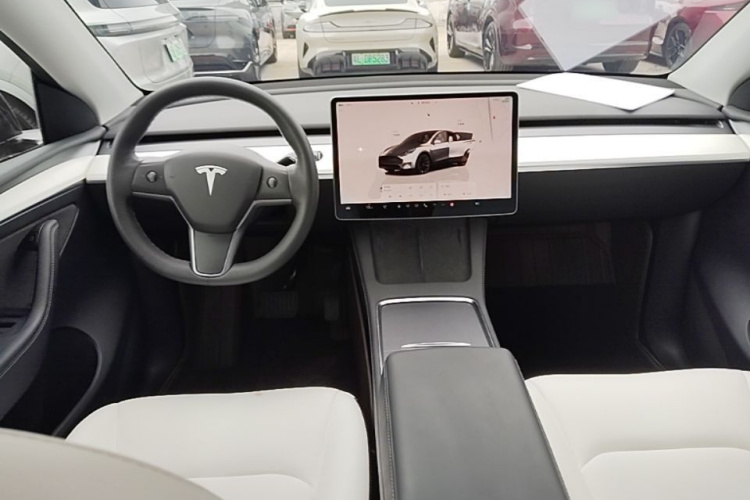 Tesla Model Y 2021 #10 Tesla Model Y 2021 car image #10