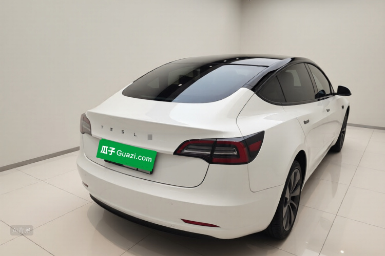 Tesla Model 3 2023 car image #6
