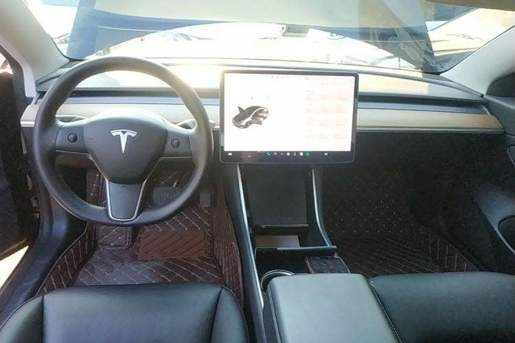 Tesla Model 3 2020 immagine di auto #10