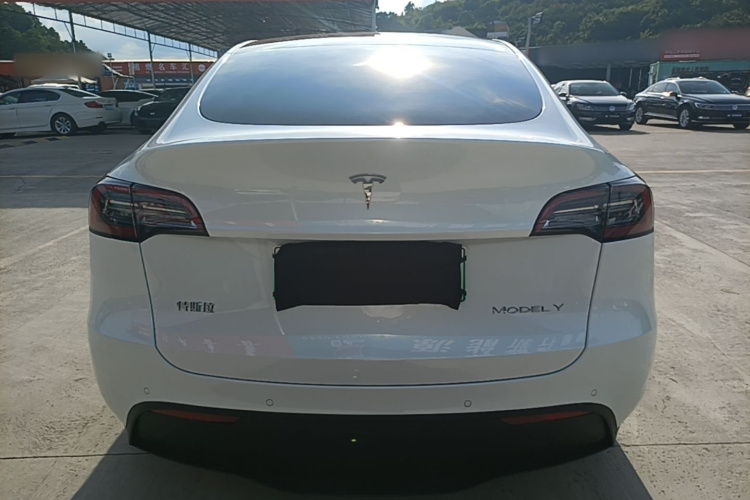 Tesla Model Y 2022 car image #6