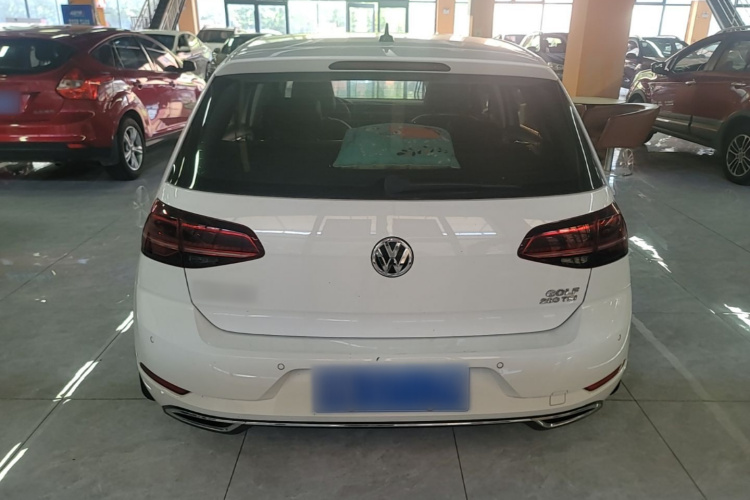 Volkswagen Golf 2019 #6 Volkswagen Golf 2019 car image #6