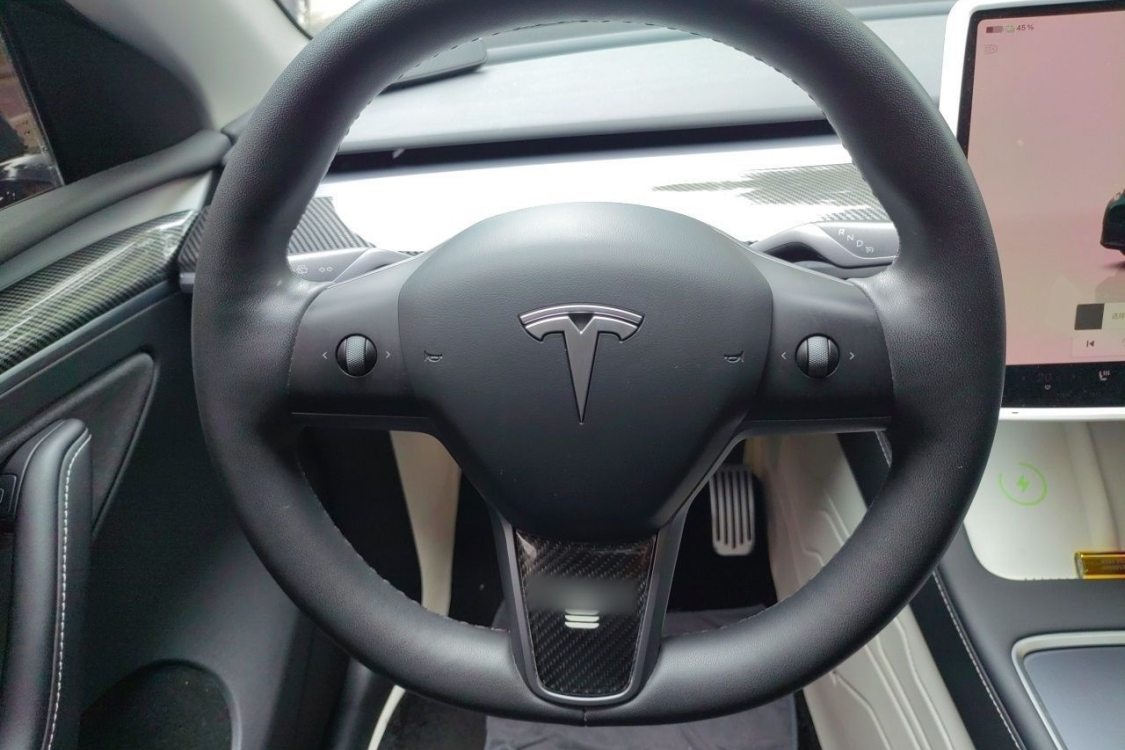 Tesla Model Y 2024 car image #22