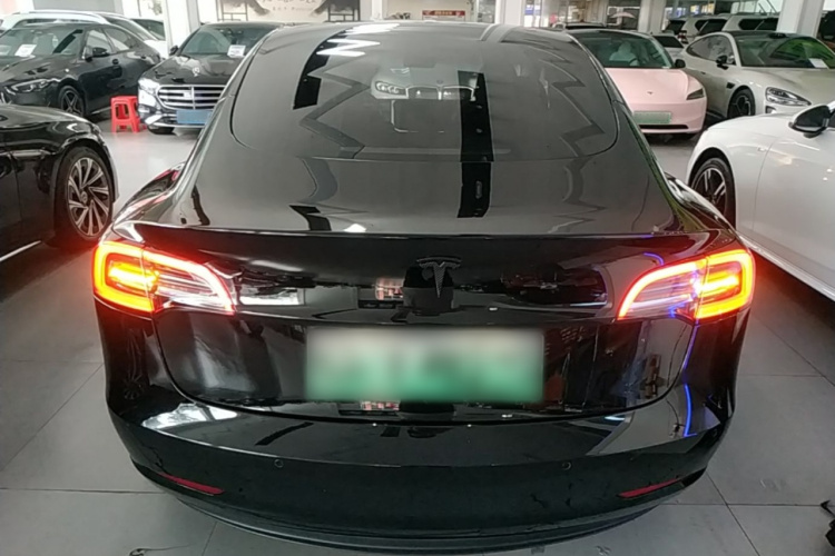 Tesla Model 3 2021 car image #6