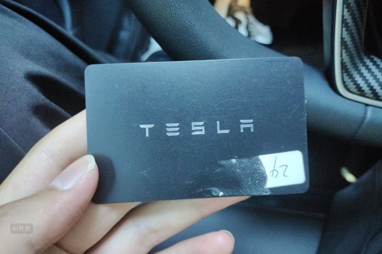 Tesla Model 3 2024 #10 Tesla Model 3 2024 car image #10
