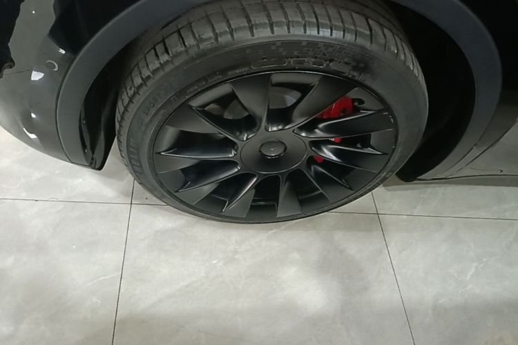Tesla Model Y 2023 #9 Tesla Model Y 2023 car image #9
