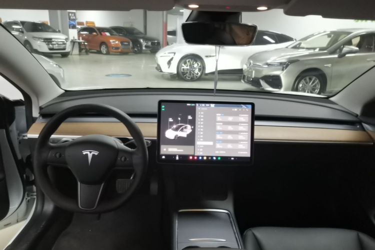 Tesla Model 3 2021 car image #10