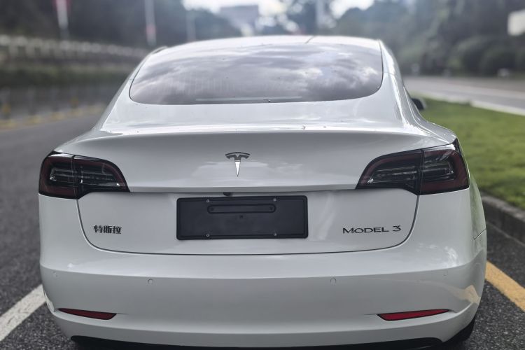 Tesla Model 3 2020 #7 Tesla Model 3 2020 car image #7