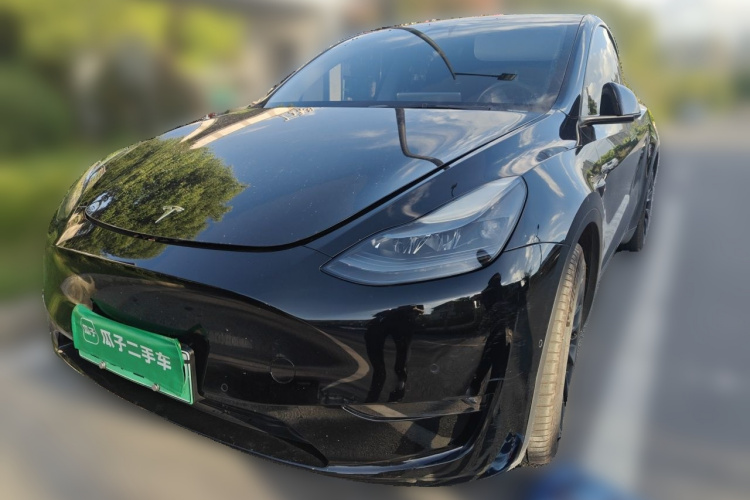 Tesla Model Y 2021 car image #2