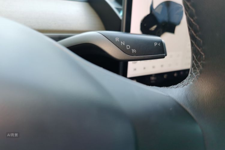 Tesla Model Y 2021 car image #16