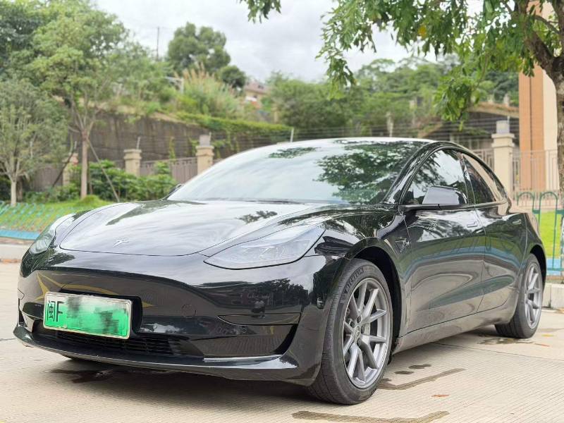 Tesla Model 3 2023 Tesla Model 3 2023 car image