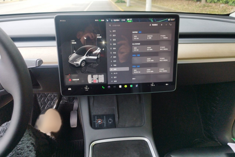 Tesla Model Y 2022 car image #14