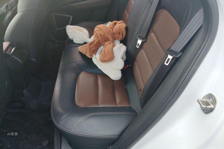 GEELY Emgrand GS 2018 car image #19